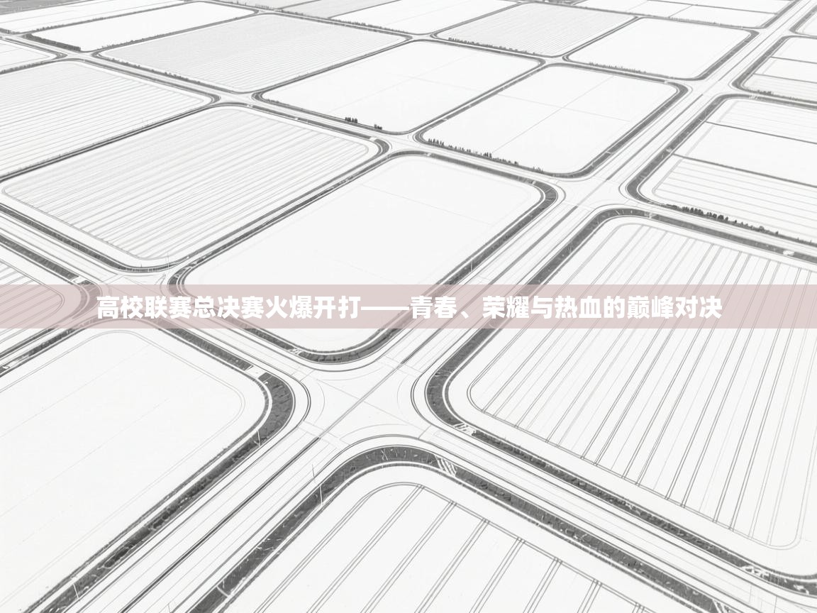 高校联赛总决赛火爆开打——青春、荣耀与热血的巅峰对决  第2张
