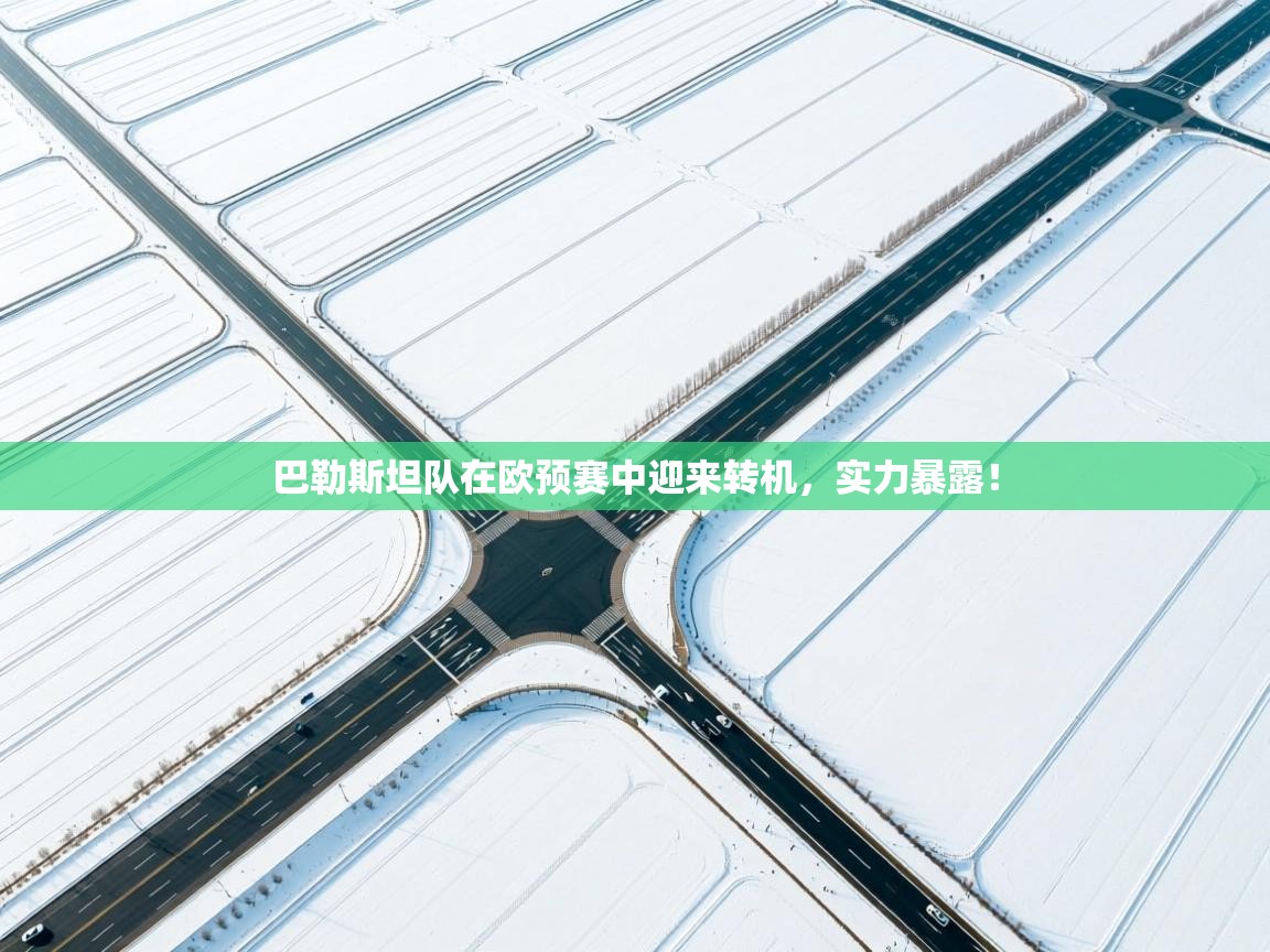 巴勒斯坦队在欧预赛中迎来转机,实力暴露! 第2张