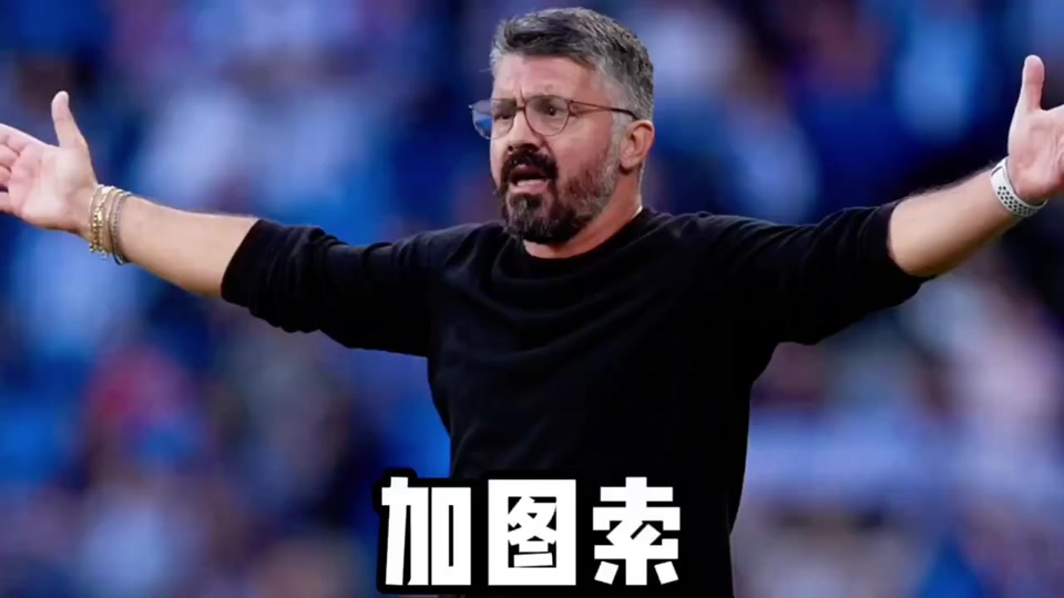 关于加图索就任发布会：执教蓝衣军团是我毕生梦想目标将意大利带回世界杯的信息